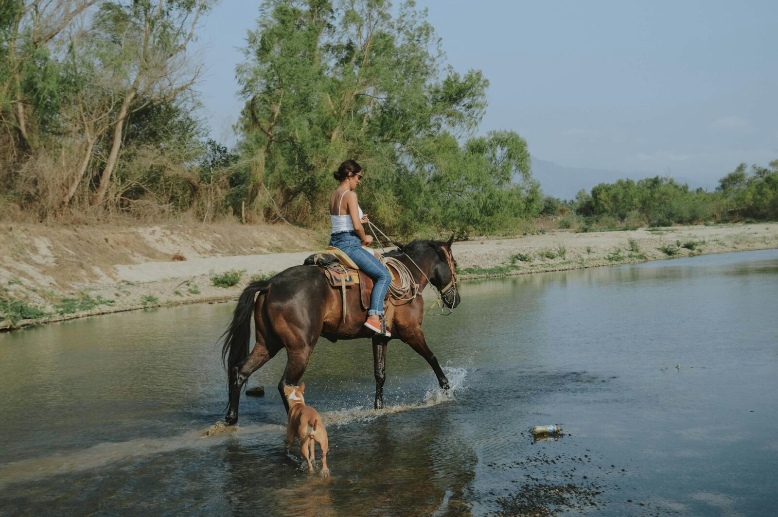 photo of woman riding a horse on body of water